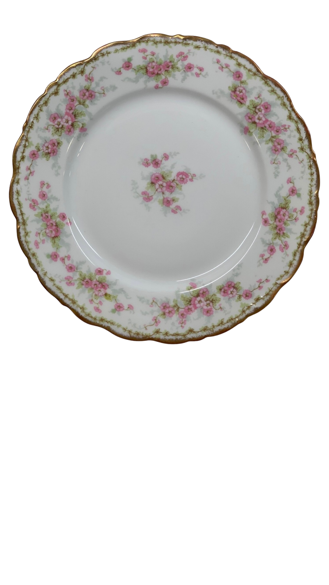 56231327-A9EF-4D6E-B9E0-12282D1DA5E4