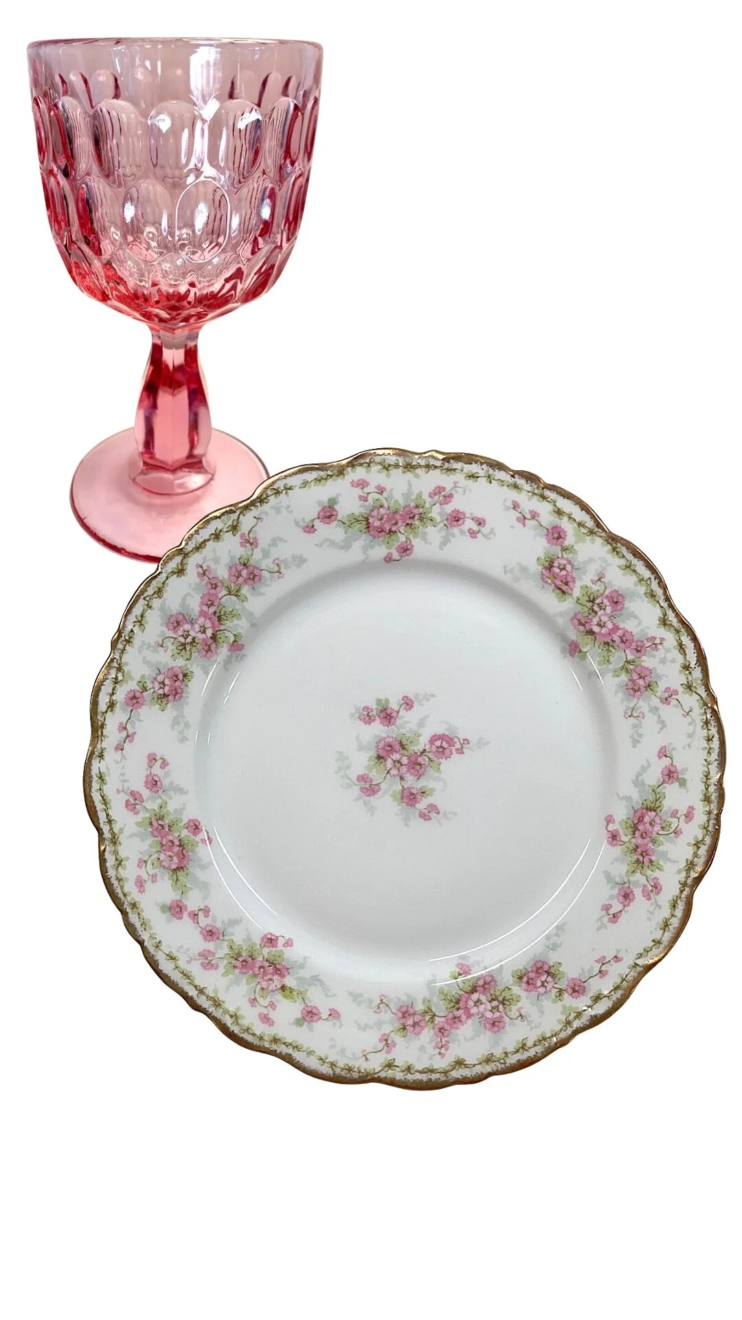 1E24880C-96E8-4A06-A713-79854980628A