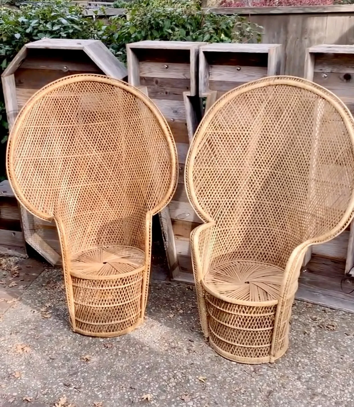 Pair o Peacock Chairs