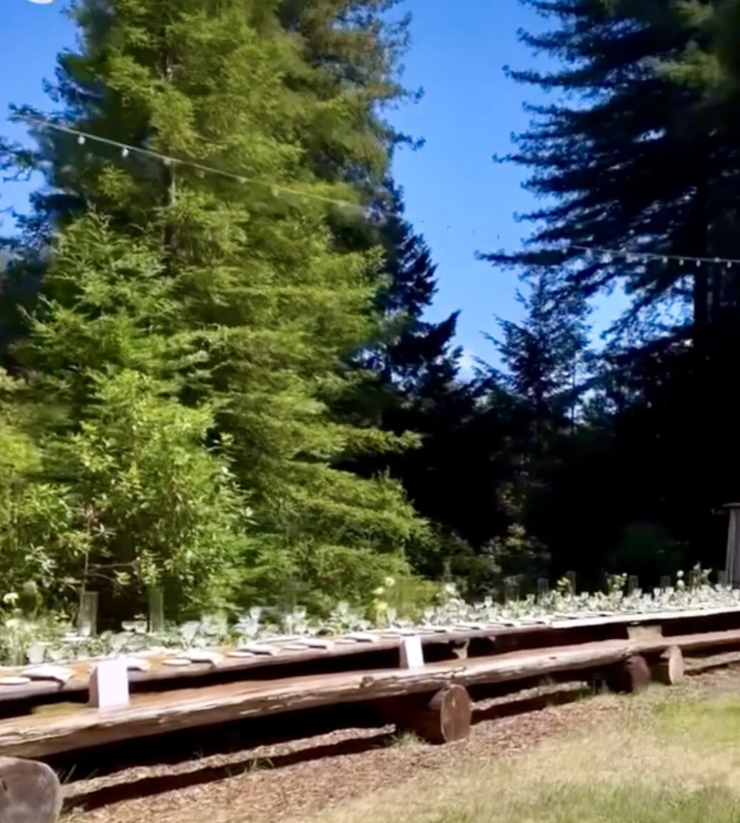 00C34591-FAF2-4BF2-9911-549024B70CD3