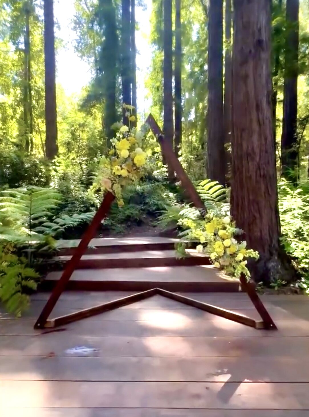 A3F81135-5555-4B7E-A91F-4FD306367731