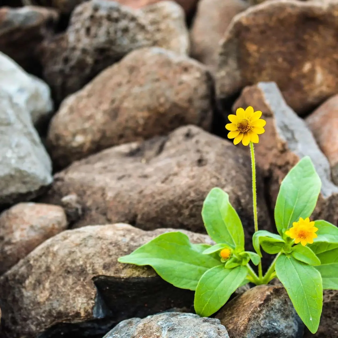 Do you ever feel like creating healthier habits (working out, eating better, etc.) is a lot harder than it should be? If you do, you’re definitely not alone. 
 I think we’ve all struggled with mastering new habits – things