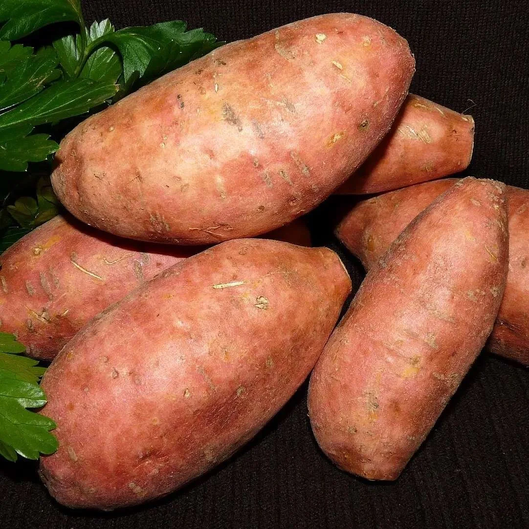 Chili-Stuffed Sweet Potatoes
(serves 4)
This can also be made with white potatoes – and even can be used as a topping for rice, quinoa, pasta or served over other veggies. 
 
450 g (1 lb) ground turkey, chicken, beef, or meat alternative
&