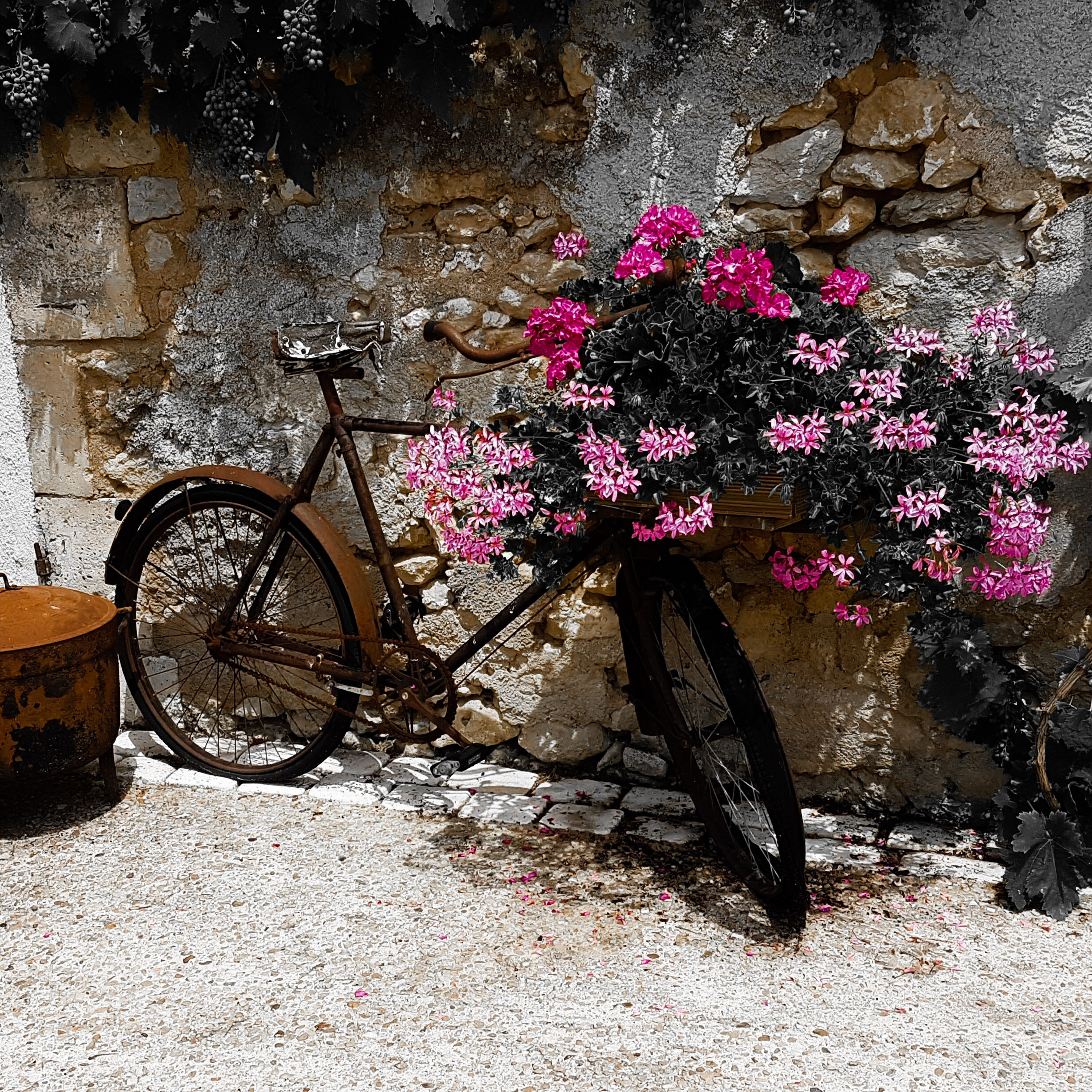 The Courtyard at Les Stables