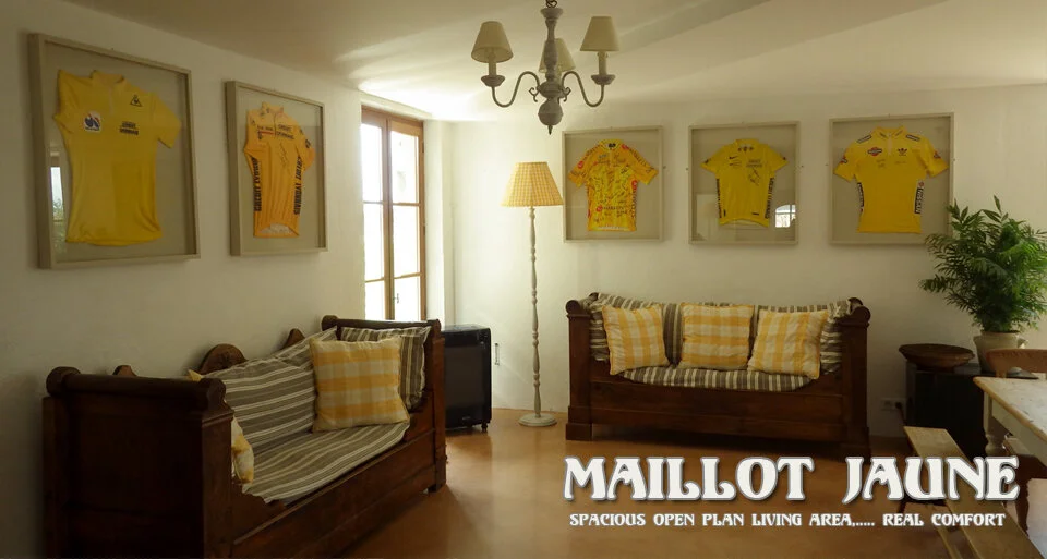 LS WEBSITE ROLLOVER APARTMNETS MJ SPACE.jpg