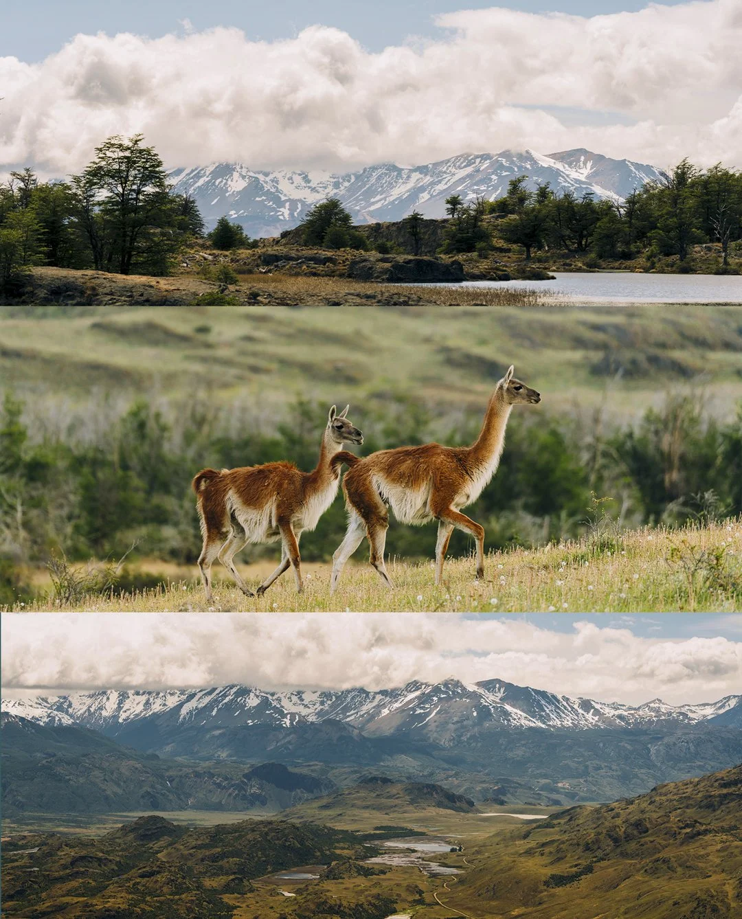 trio_patagonia1.jpg