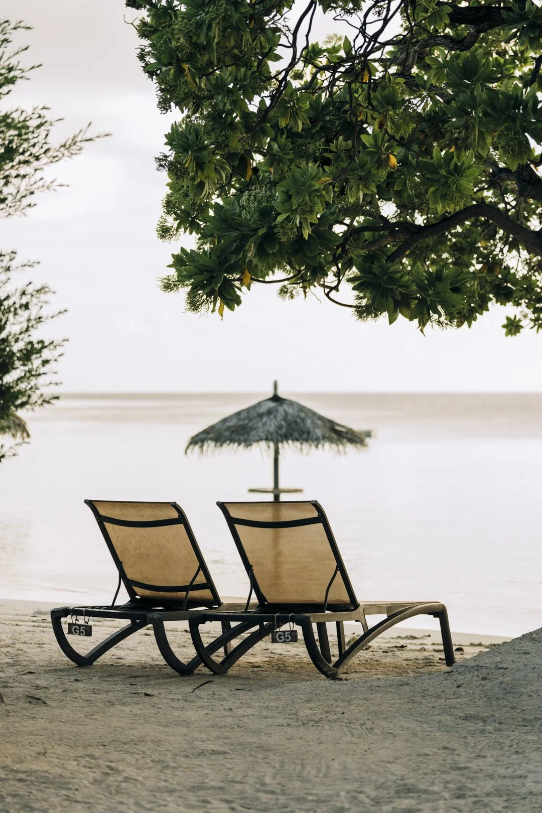 bhrn_havaiki-3.jpg