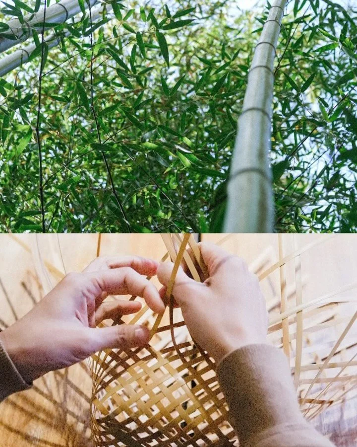 用手思考,
可以到達想像之外的遠方。
Inspired by hand, driven by nature.
-
圖為2022年,當時小孩還沒出生,帶著肚皮下的小球,和 @roundround.pottery 一起開發的系列。
出來的作品也圓圓的。
-
#NovelVintageWorkshop
生活的竹籃課|夏季班
☞ 請見bio連結🔗
-
@chuzicraft
connect your precious days