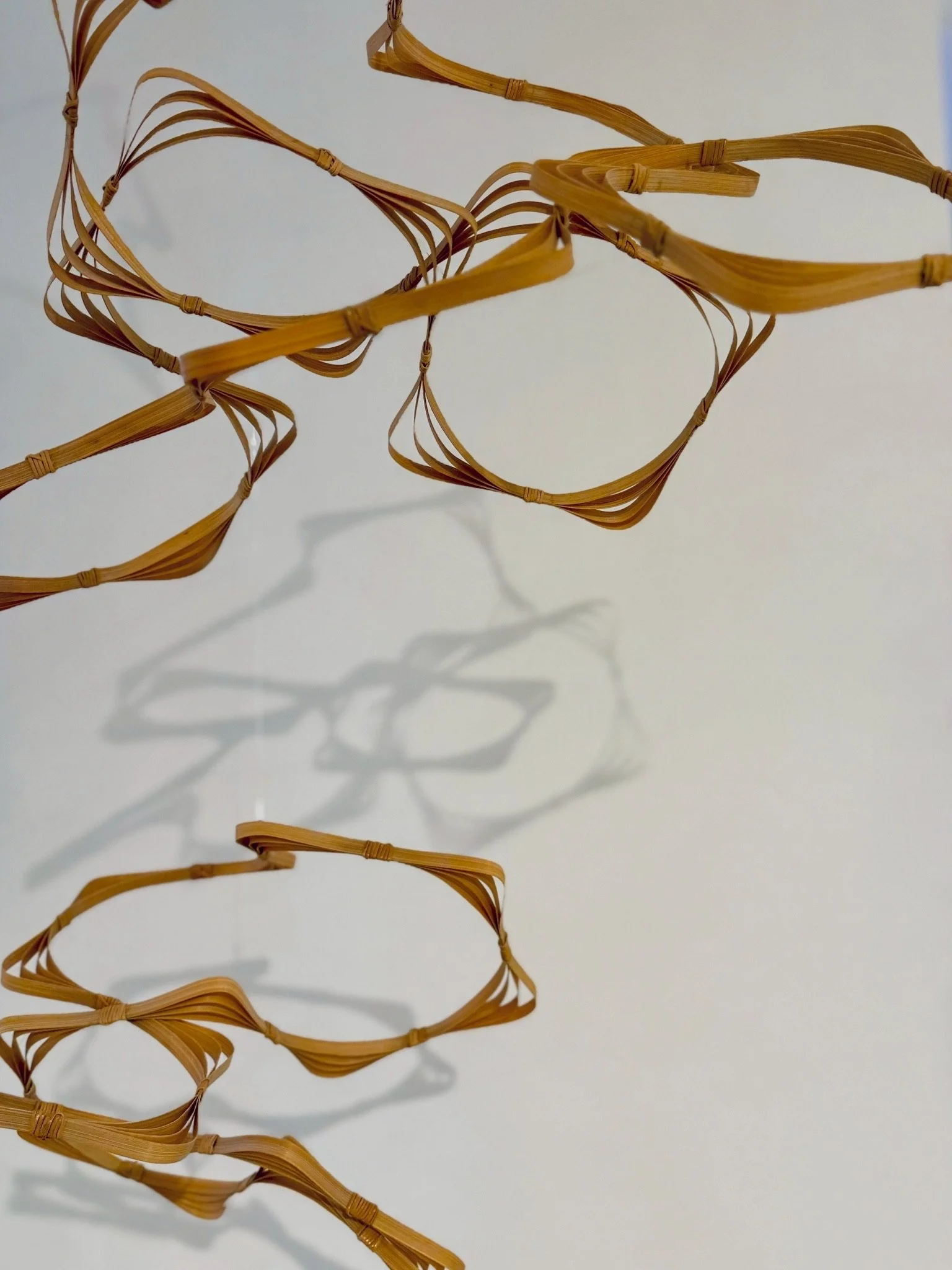 LINE_ALBUM_光復大安-展示空間_260527_16.jpeg
