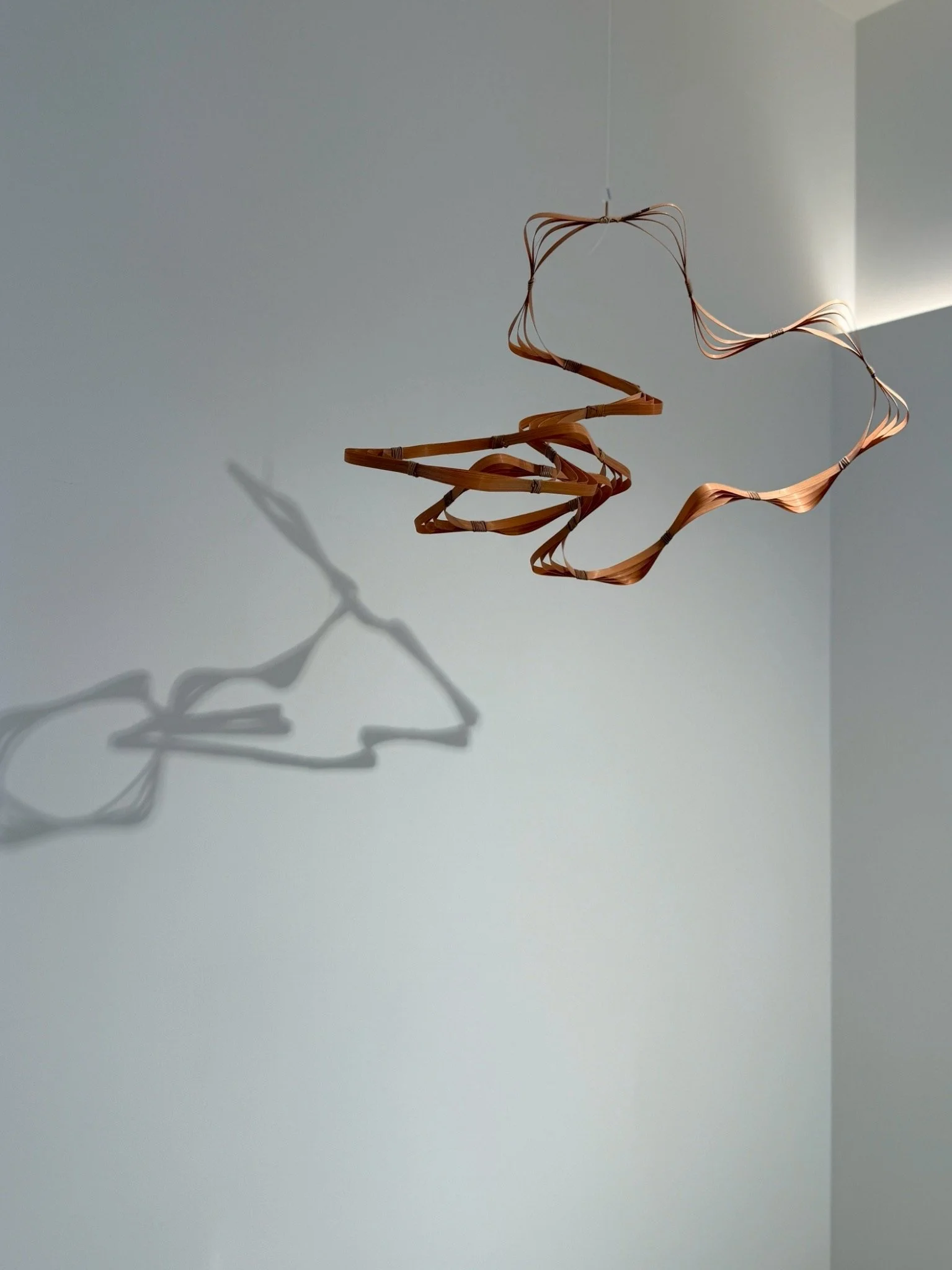 LINE_ALBUM_光復大安-展示空間_260527_2.jpeg