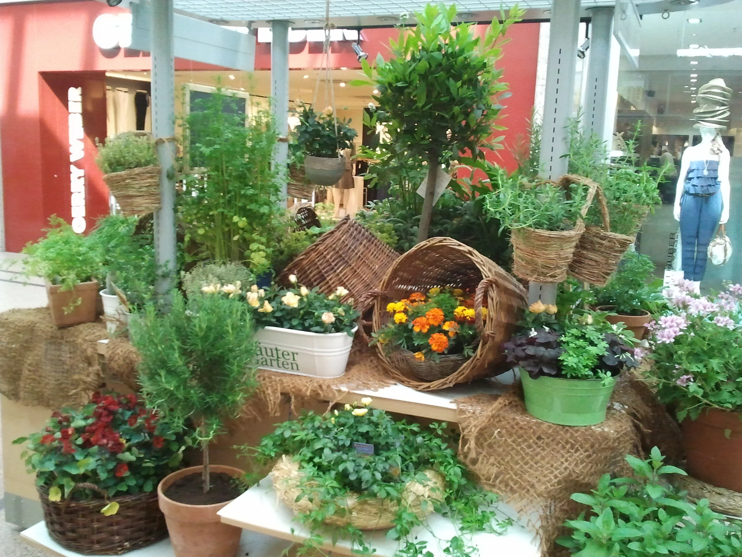 2011-05-19 16.24.30.jpg