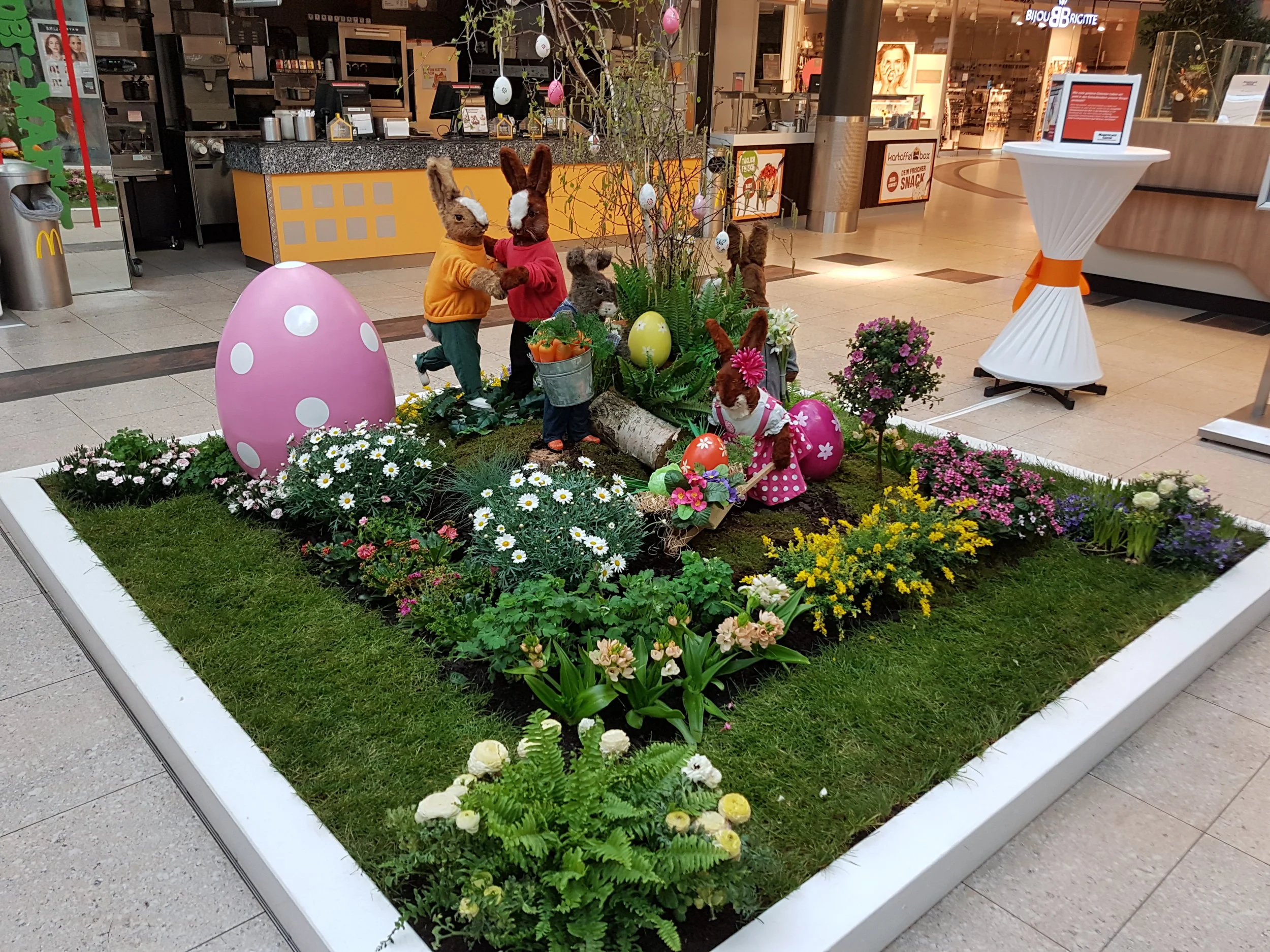 20190407_173525.jpg