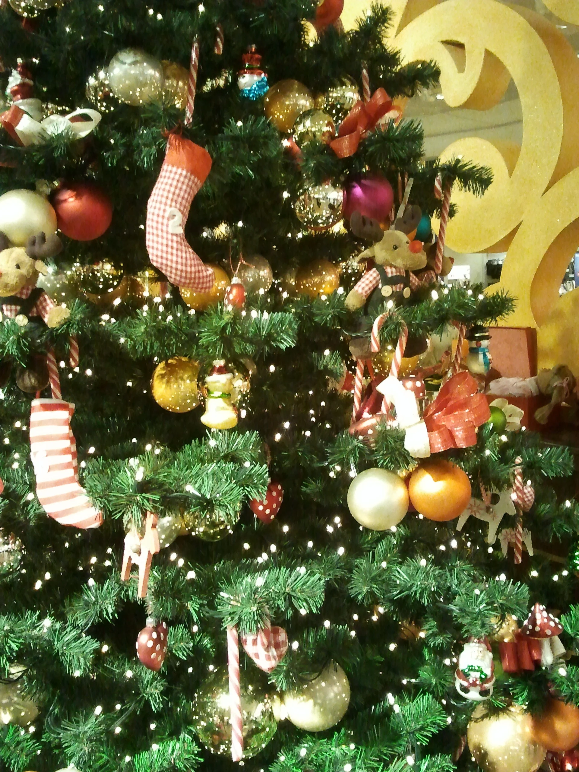 2011-11-28 17.12.12.jpg