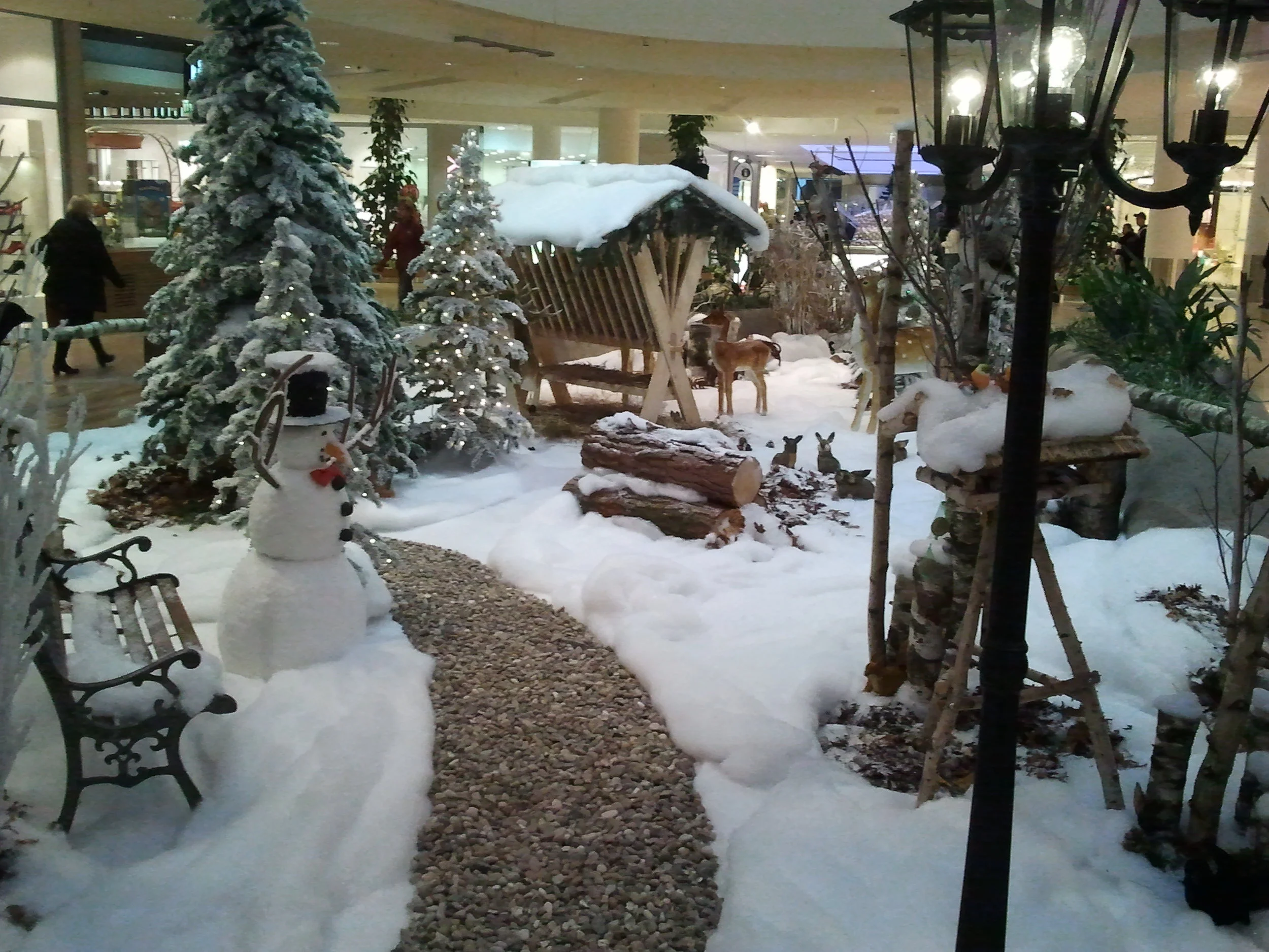 2012-11-16 15.52.23.jpg