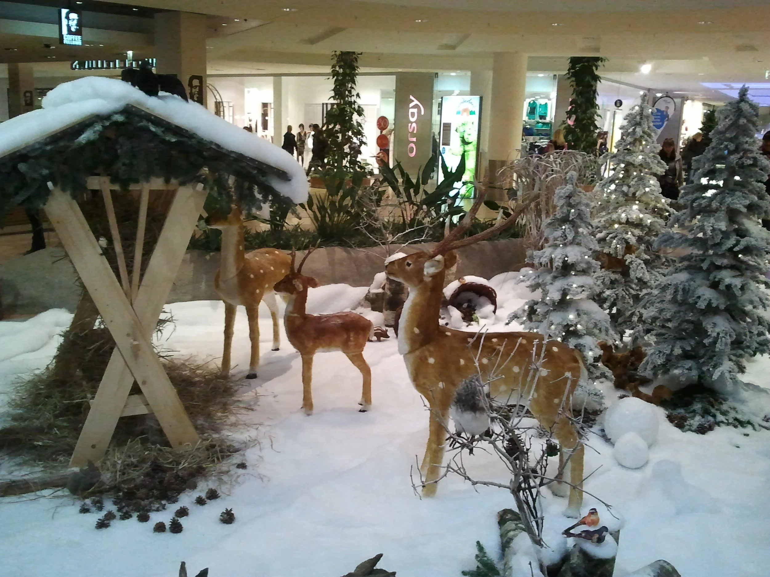 2012-11-16 15.51.19.jpg