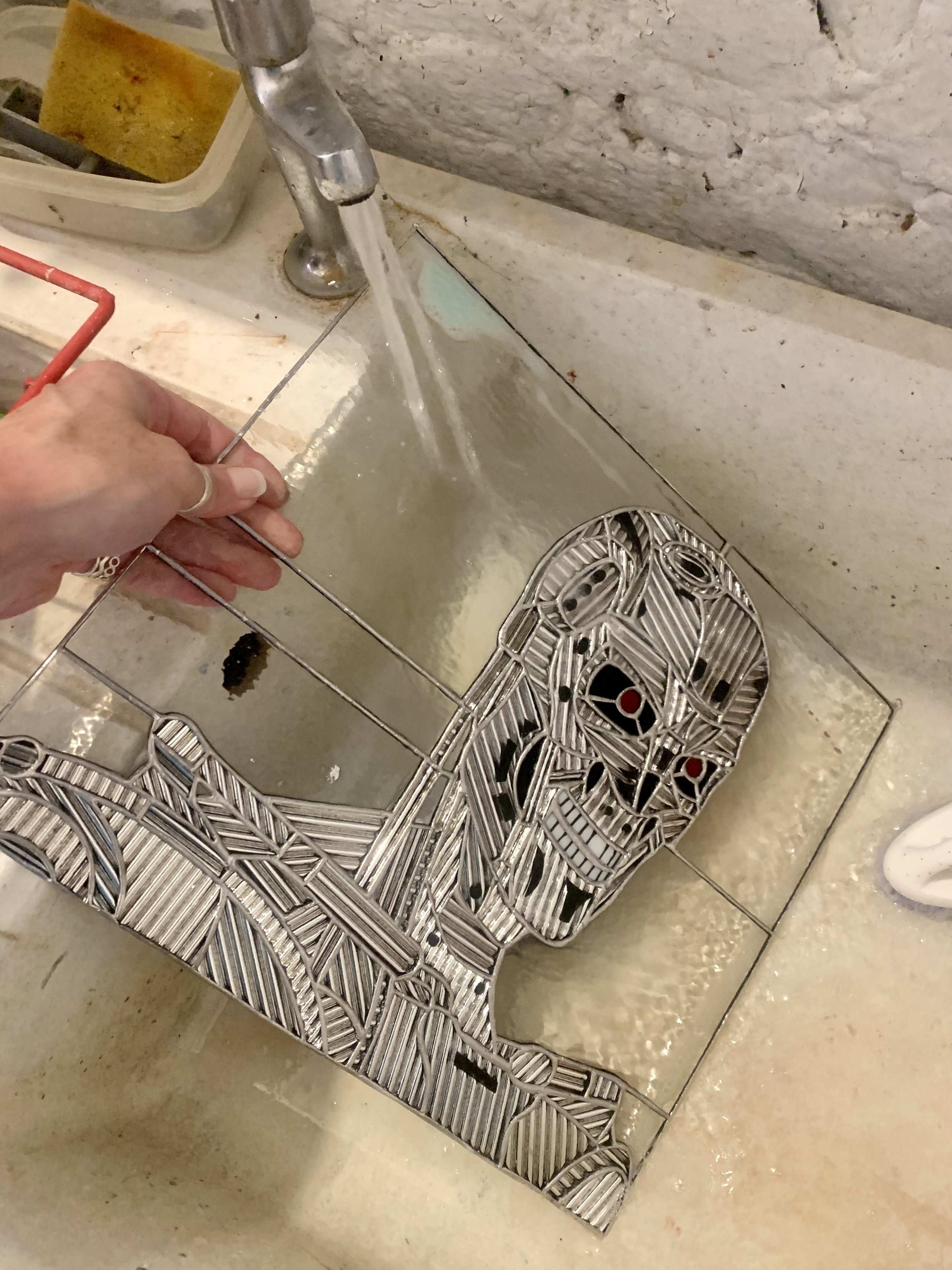 Terminator washing.jpg