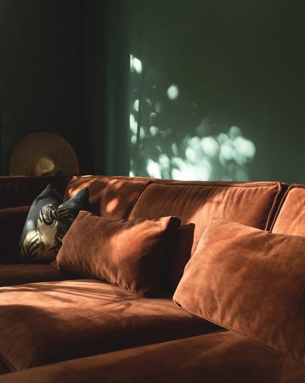 Luxury and warmth. Recent completely home renovation project, this colour combination is so inviting and beautiful #homerenovation #interiordesign #woonkamer #livingroominterior #richcolourpallete