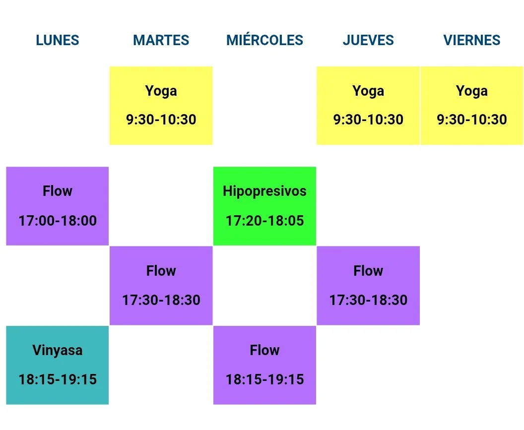 WhatsApp Image 2026-04-02 at 18.22.39.jpeg