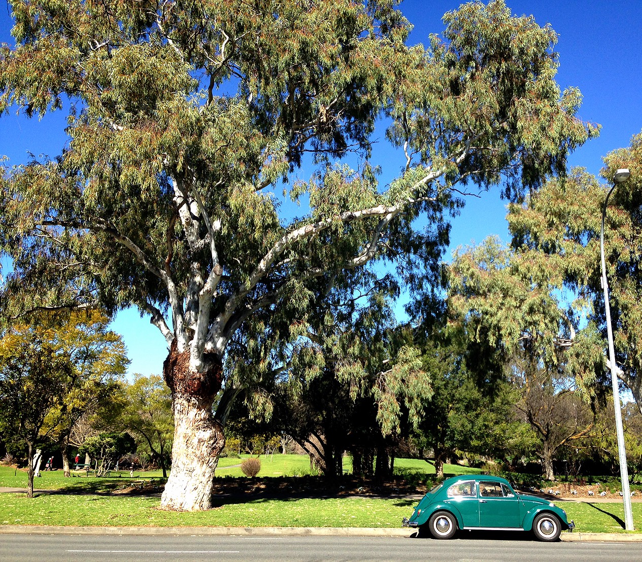 ついにオープン！