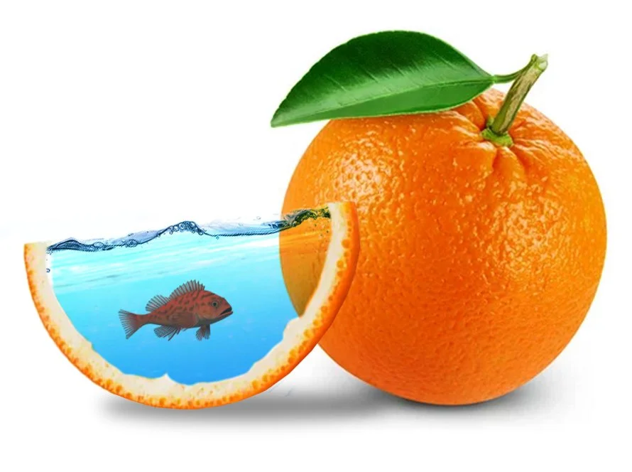 Orange.jpg
