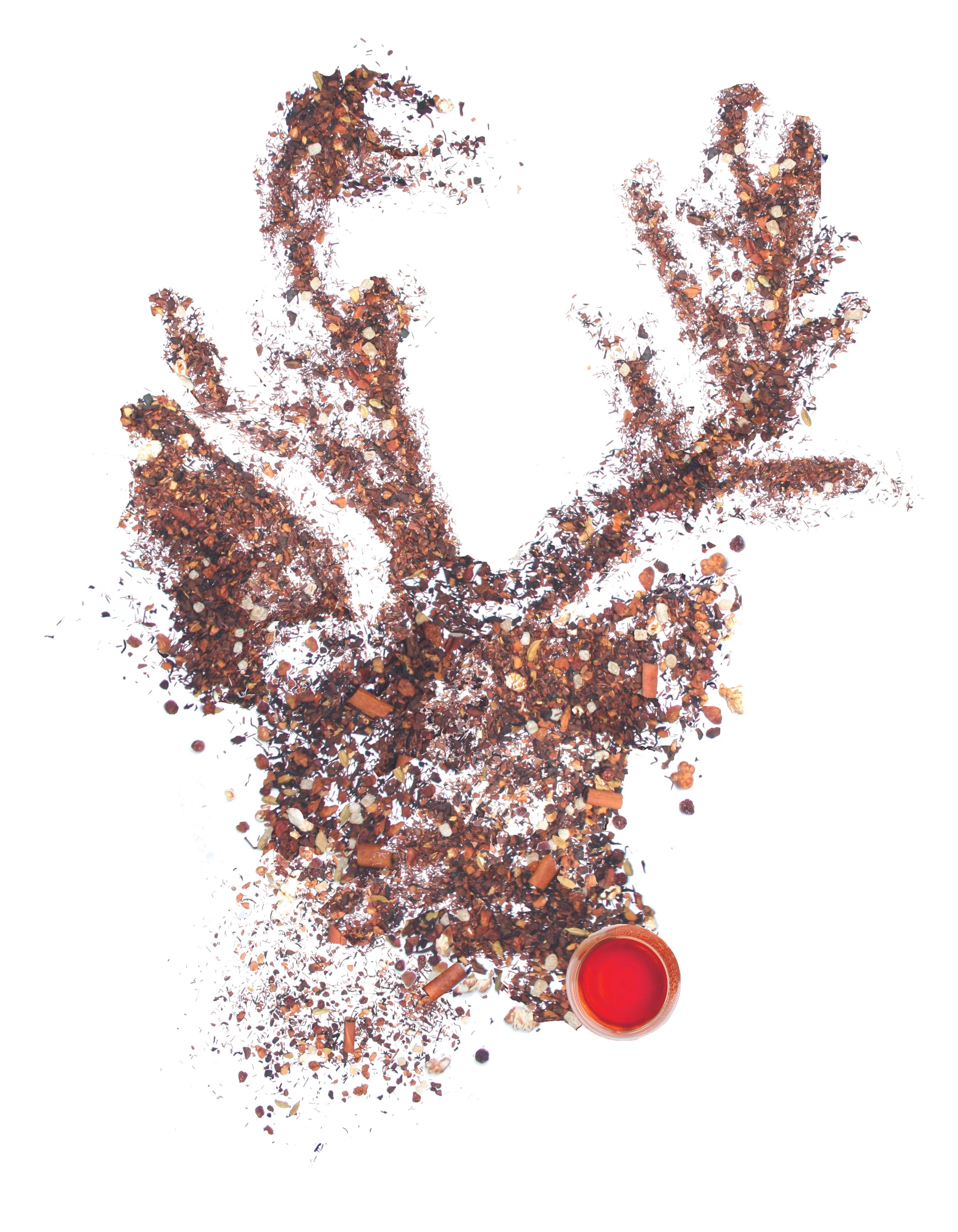 Deer.jpg