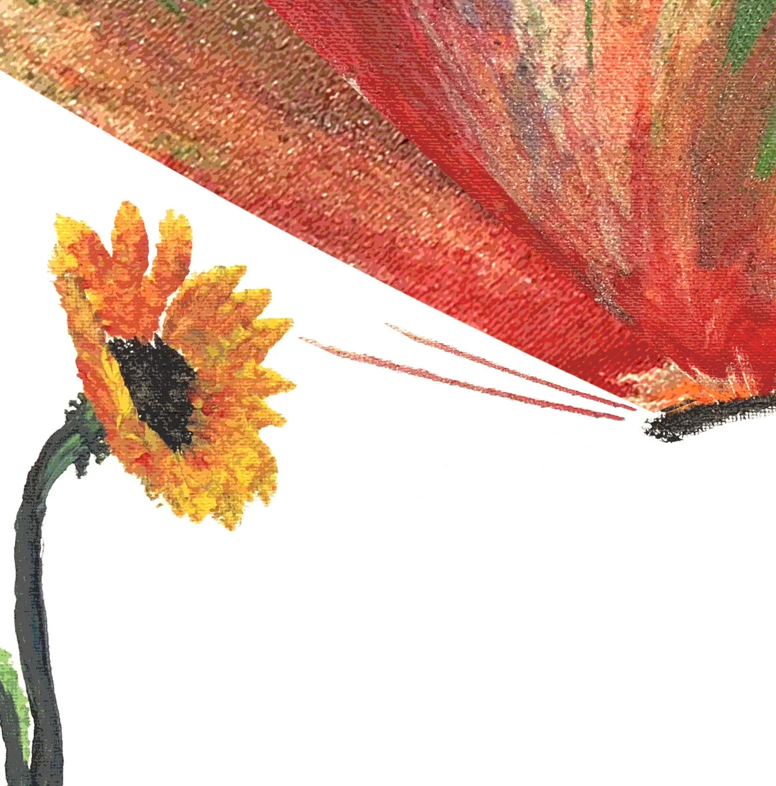 butterflySM.jpg