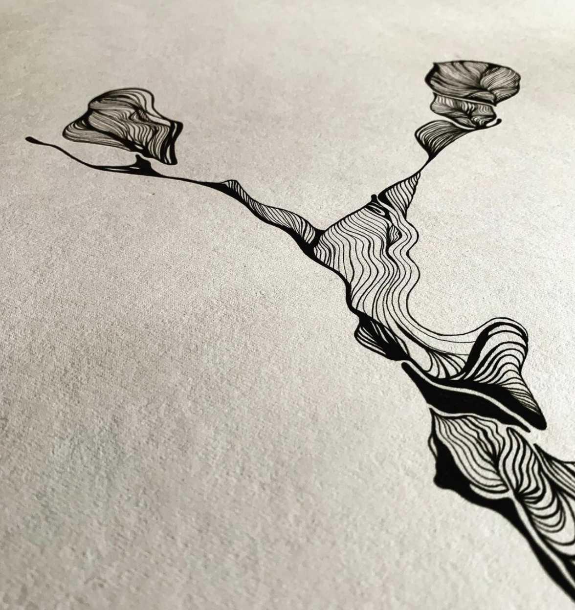 Screenshot 2021-12-12 at 13.52.18.png