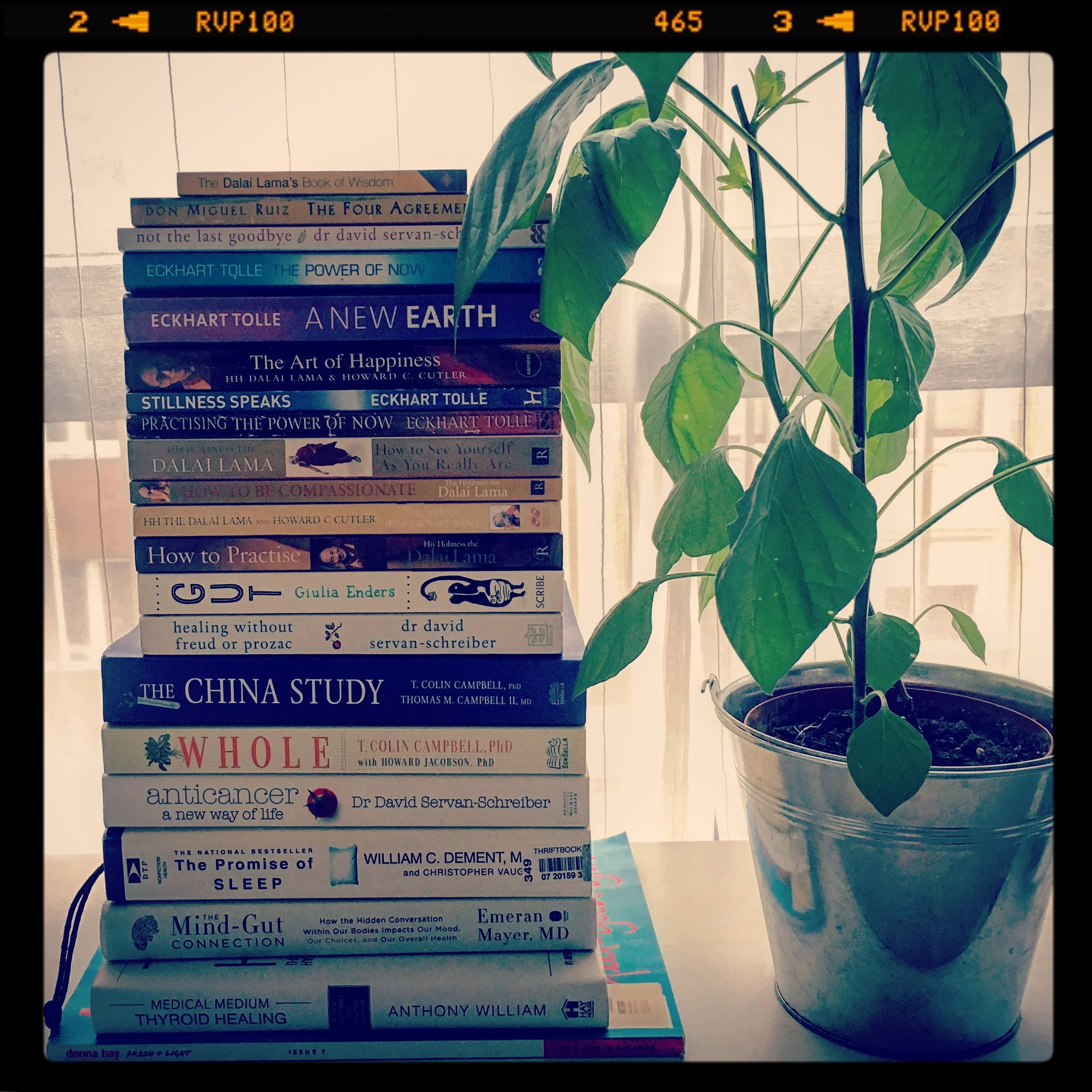 How I got here (part 2).