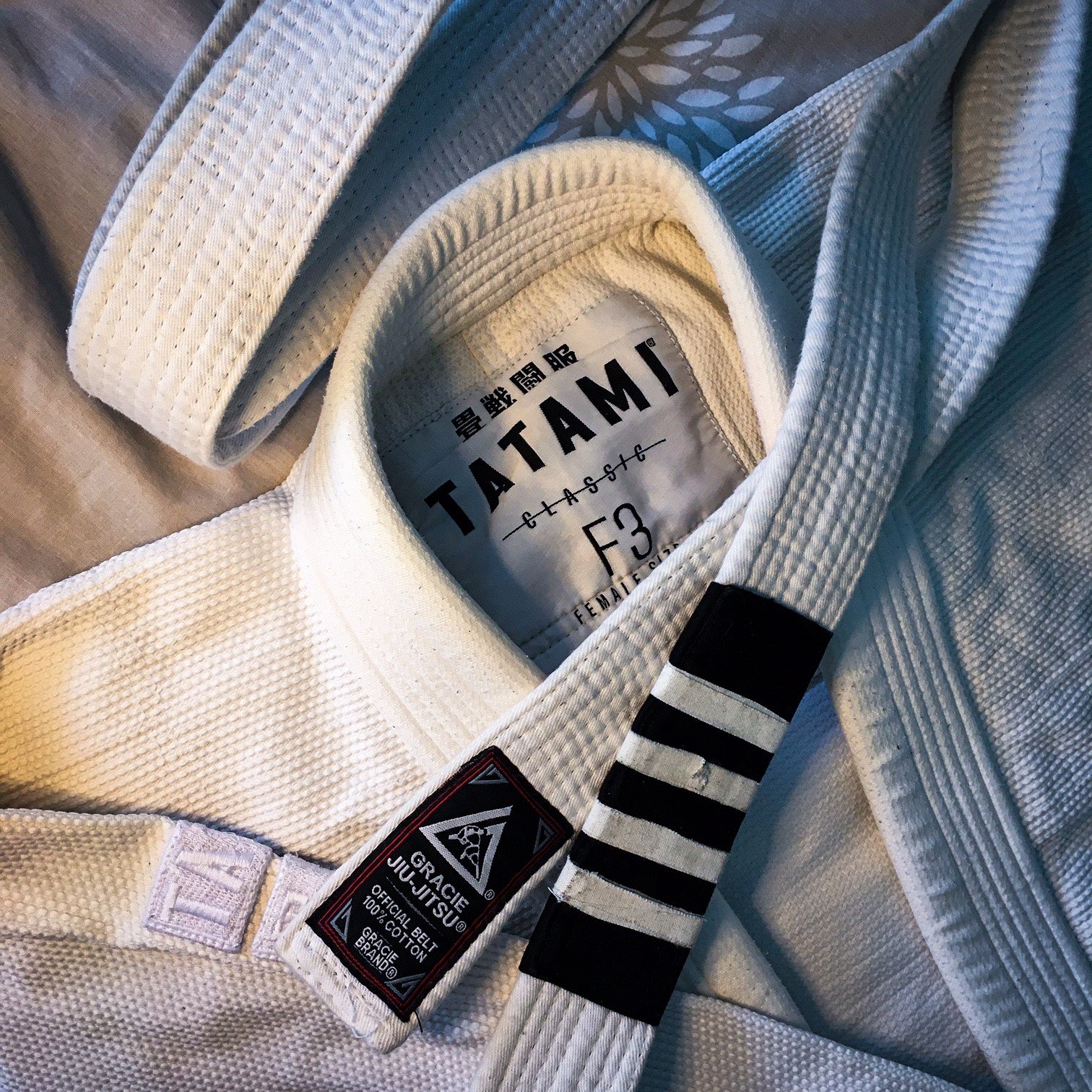 What Jiu-jitsu has taught me (Part 2 of 2).
