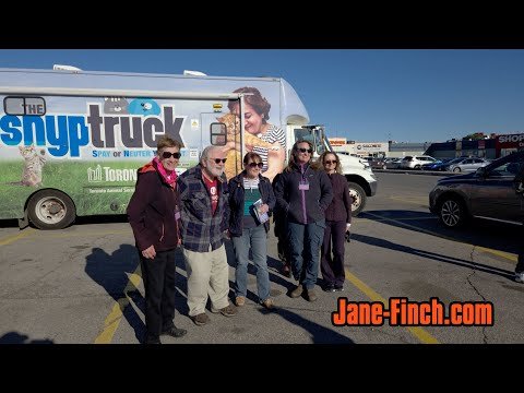 Report on the FCAD Driftwood TNR Blitz from Oct 2025