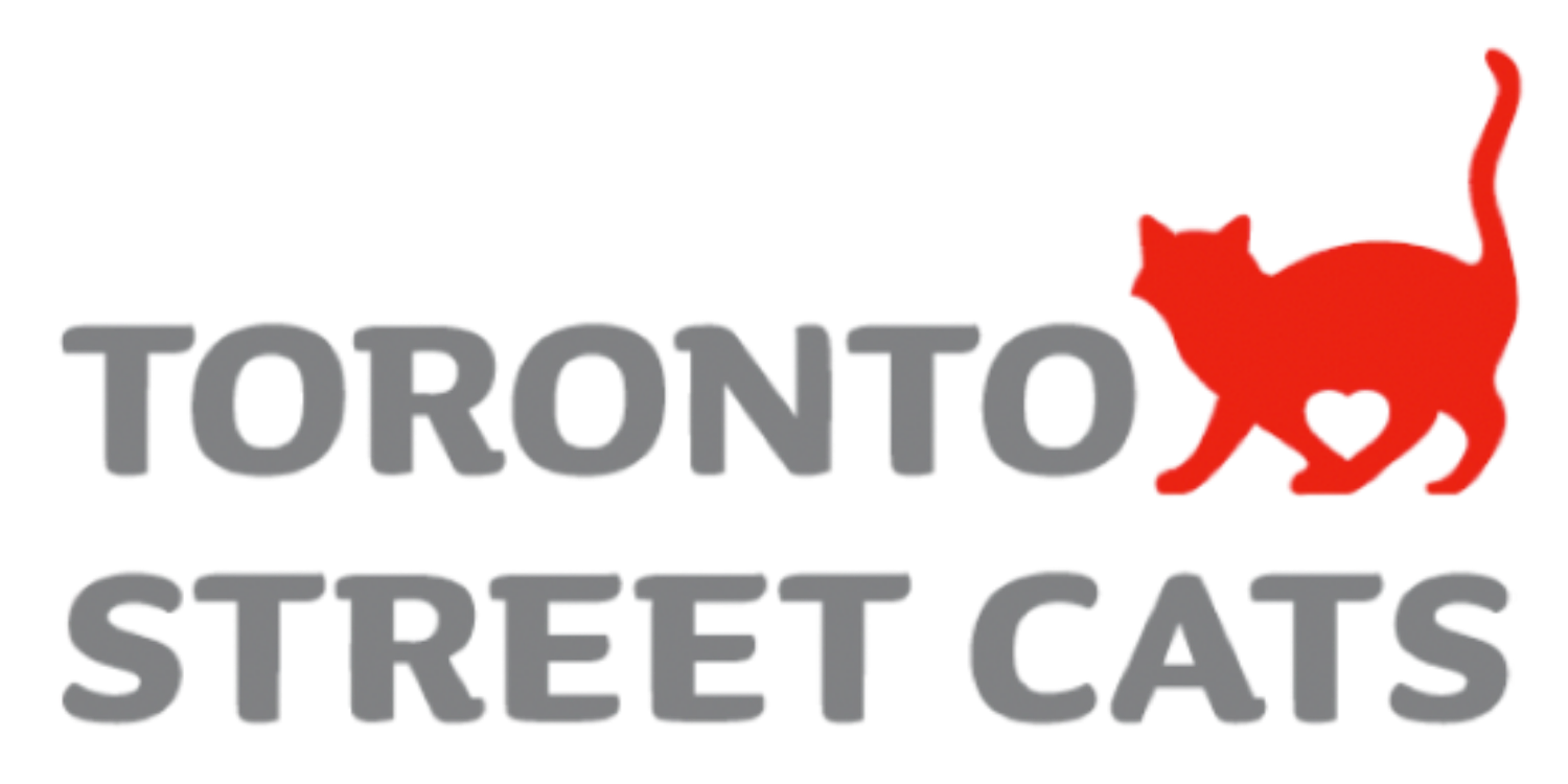 Toronto Street Cats