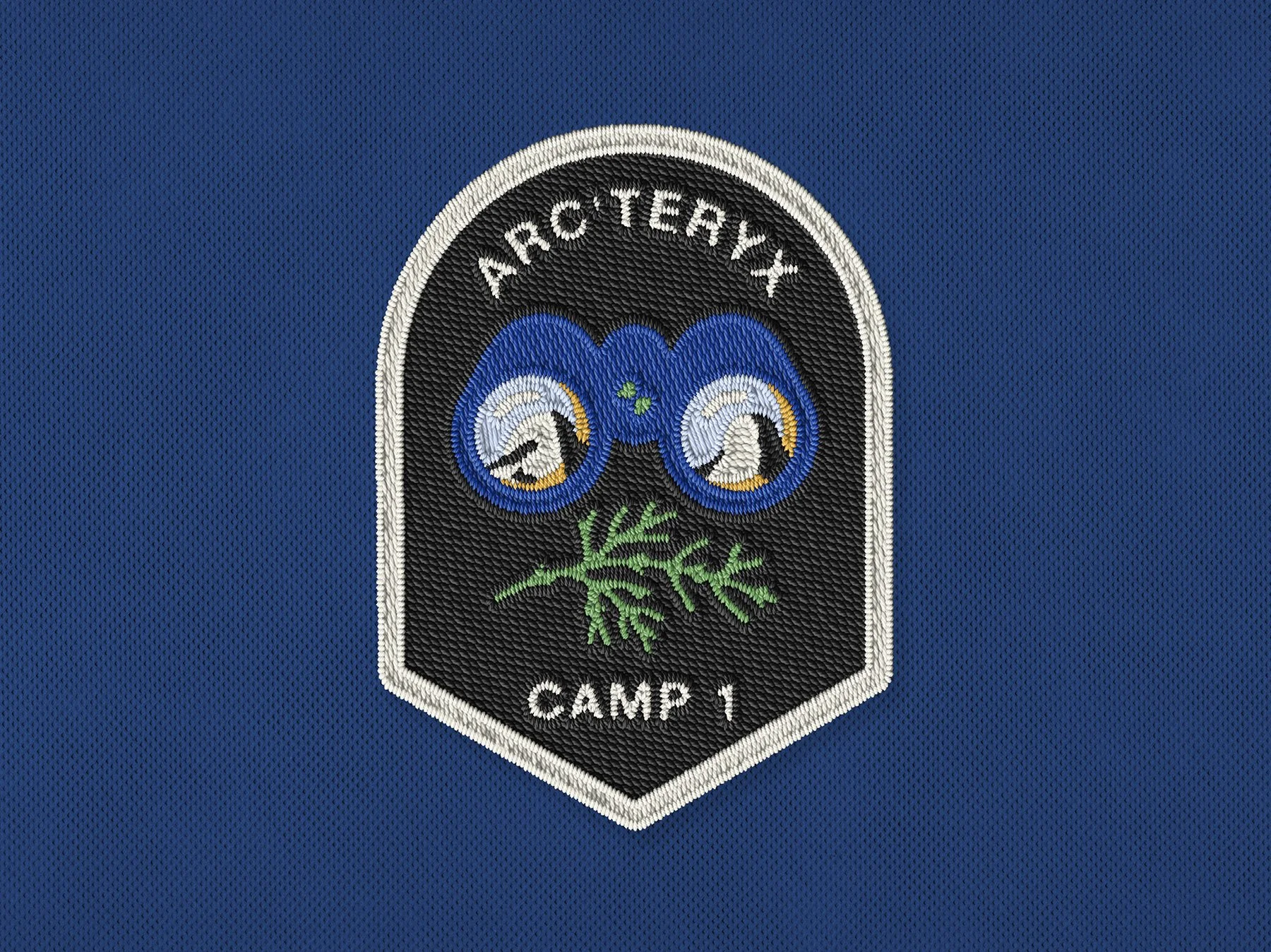 arc-badges-camp1-2.jpg