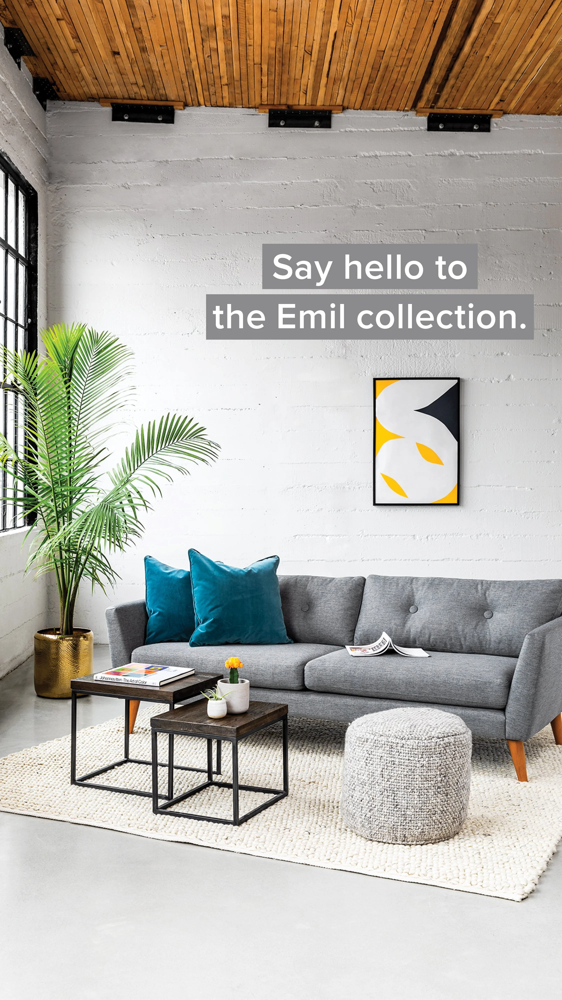 STORIES-180626-ProductFeatureEmil_01.jpg