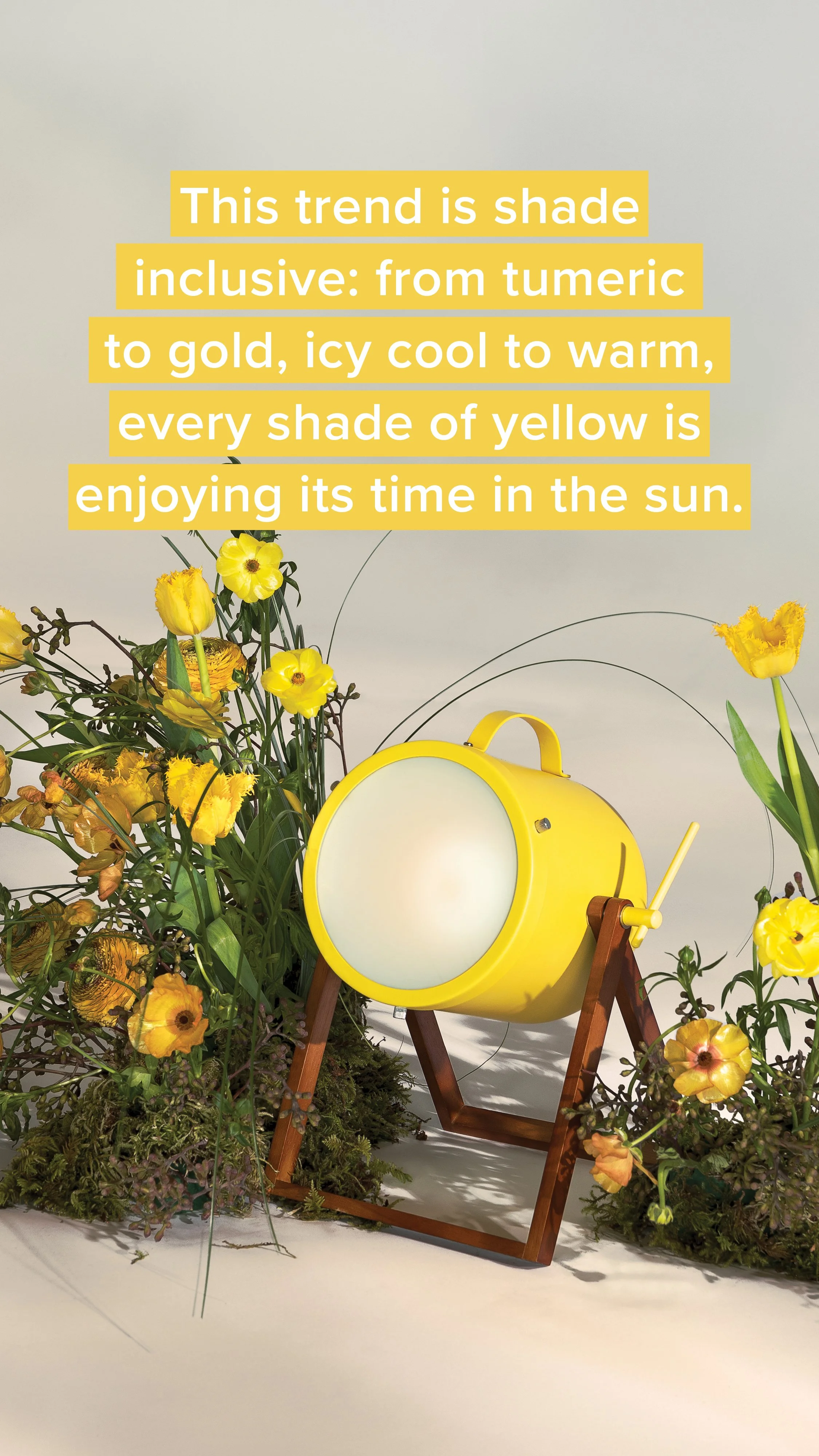 STORIES-180429-YellowShoot_04.jpg