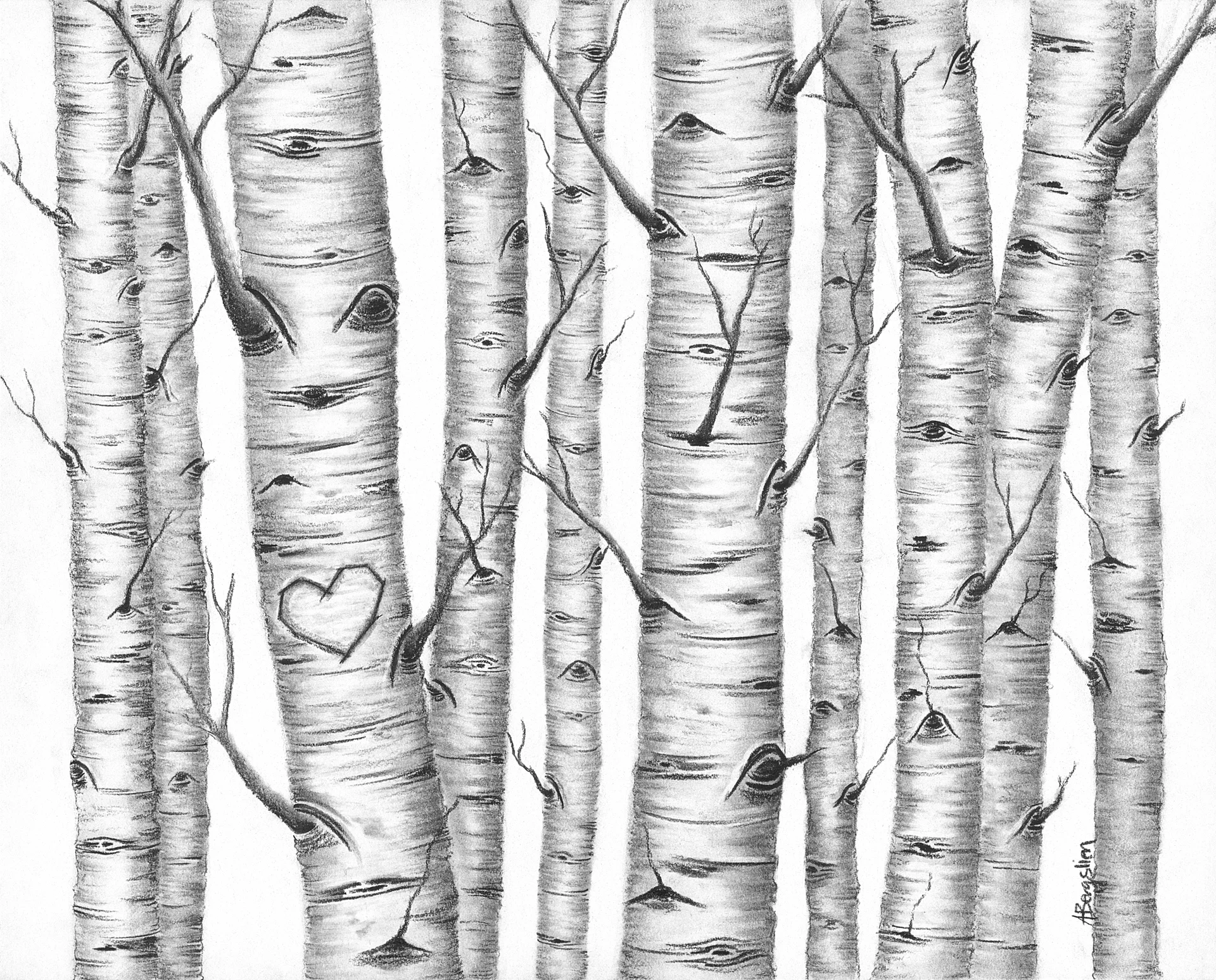 20854 Amber Bergslien - Birch Forest rv1 WEB.jpg