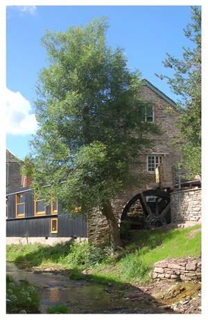 Home_Talgarth_Mill_Water_Wheel_Small.jpg