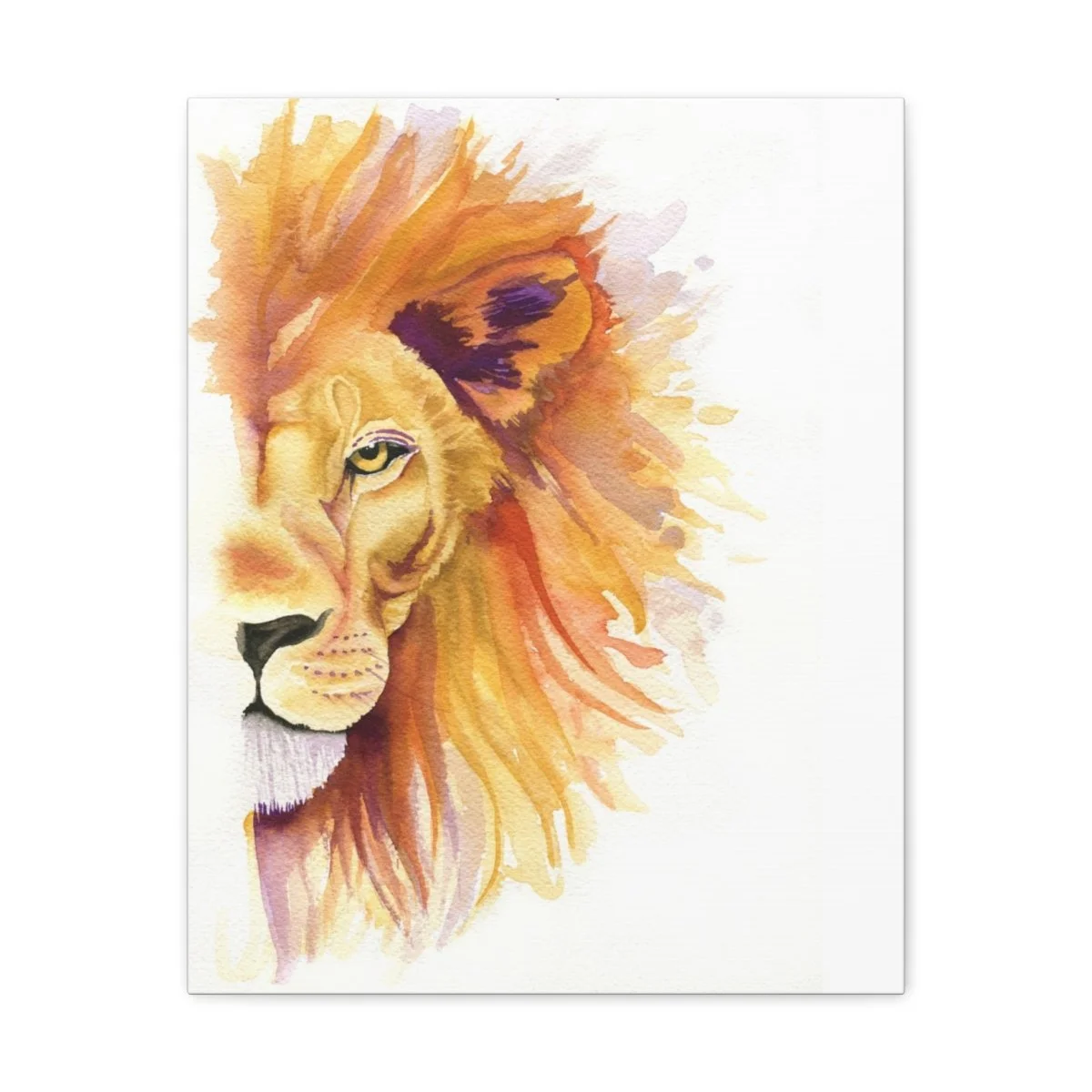 7446799f1f86bb0e0cb7344c95dea0a8