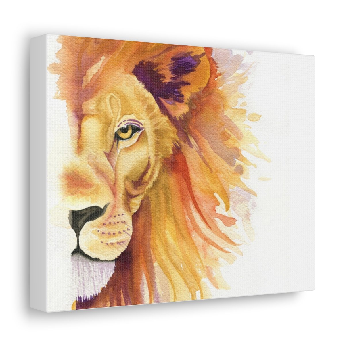 16x20 Lion Gallery Canvas Wrap — Lindsay Schott