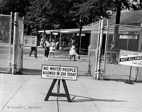  Ernest Withers  Memphis Zoo  Gelatin silver, 11 x 14”, 16 x 20”, 20 x 24”  Signed 