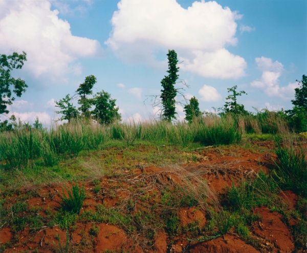  Bruce West  Red Dirt Bluff (Near Oxford, Mississippi)  TAKE TIME TO APPRECIATE (Mississippi Delta)  Available in C-print or archival pigment print  ca. 2000  Image size 16x20 inches  Signed and editioned 