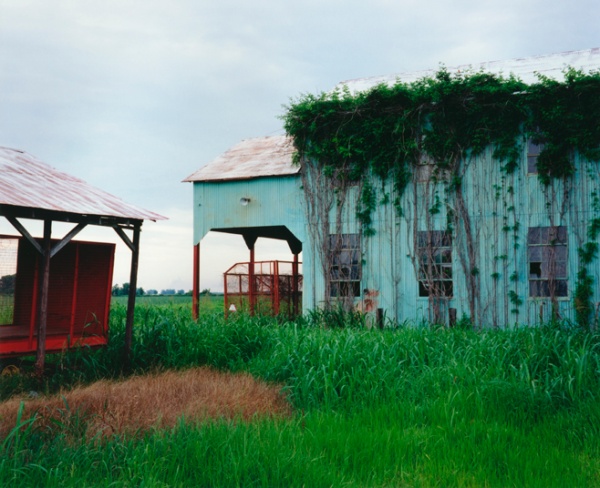  Bruce West  Gin (Missisippi Delta)  TAKE TIME TO APPRECIATE (Mississippi Delta)  Available in C-print or archival pigment print  ca. 2000  Image size 16x20 inches  Signed and editioned 