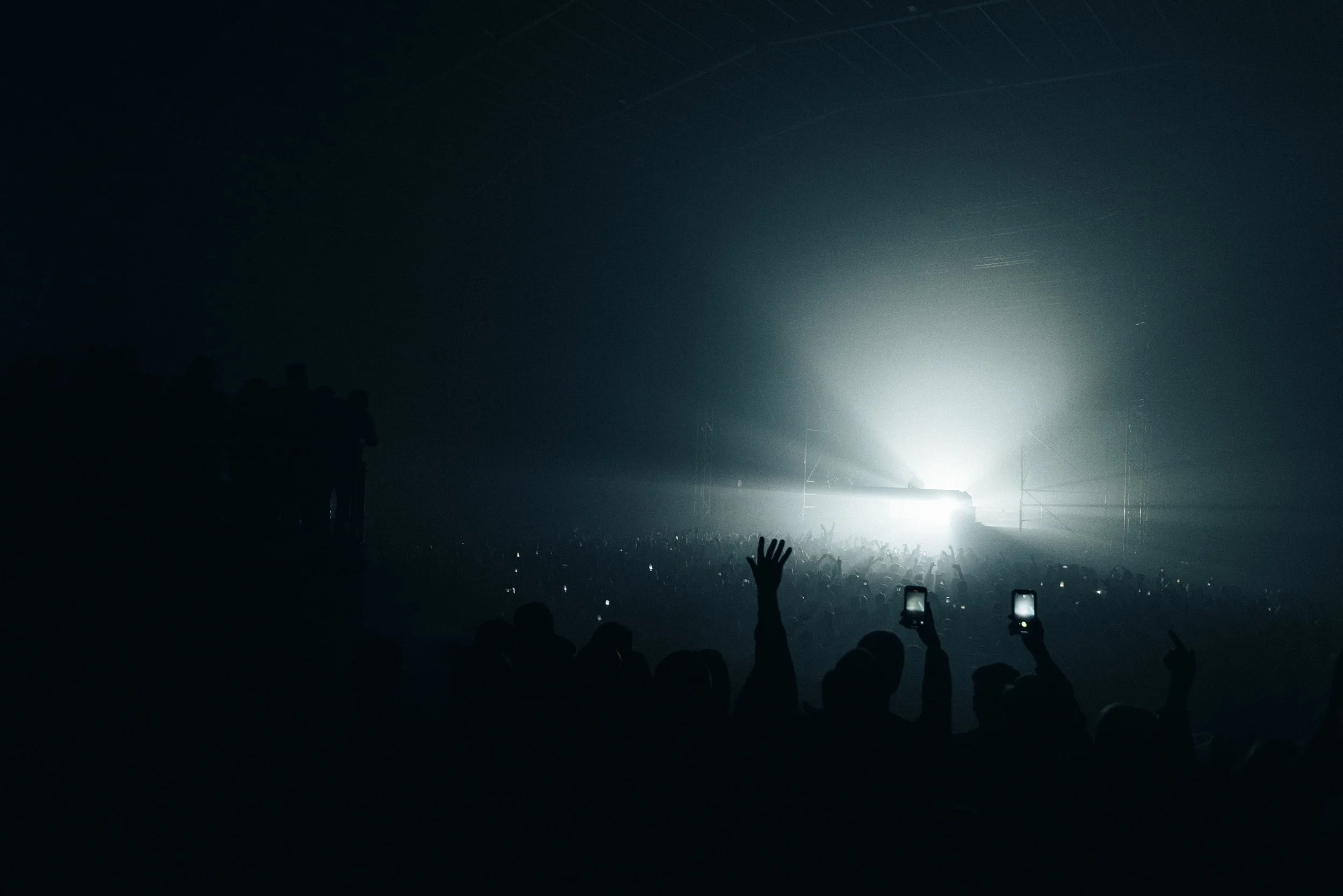 Steve_William-14.jpg