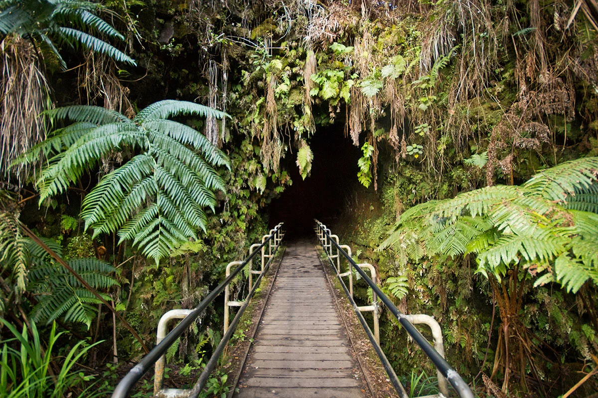 Kilauea Lava Tubes