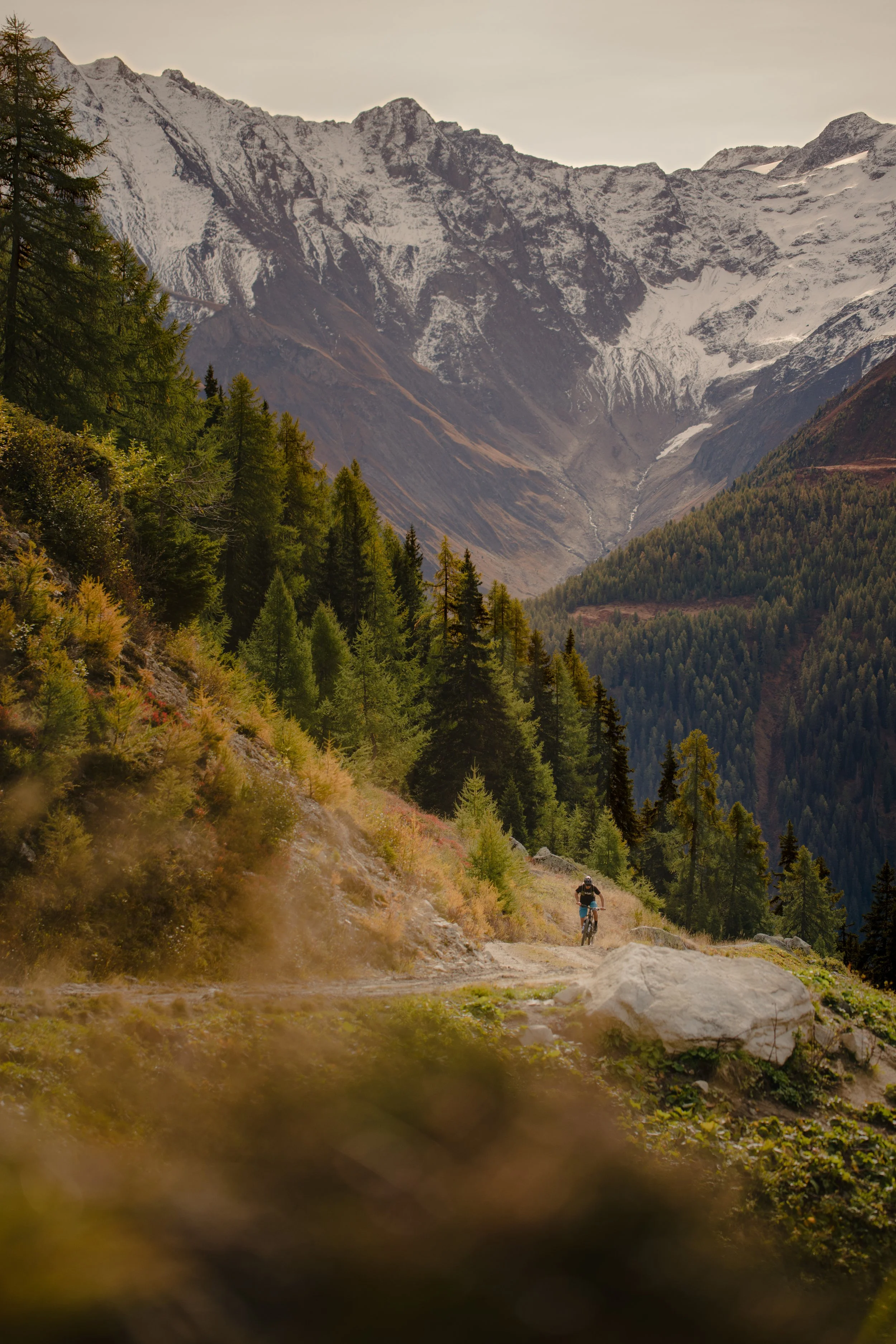 goms_galmihorn-1 2.jpeg