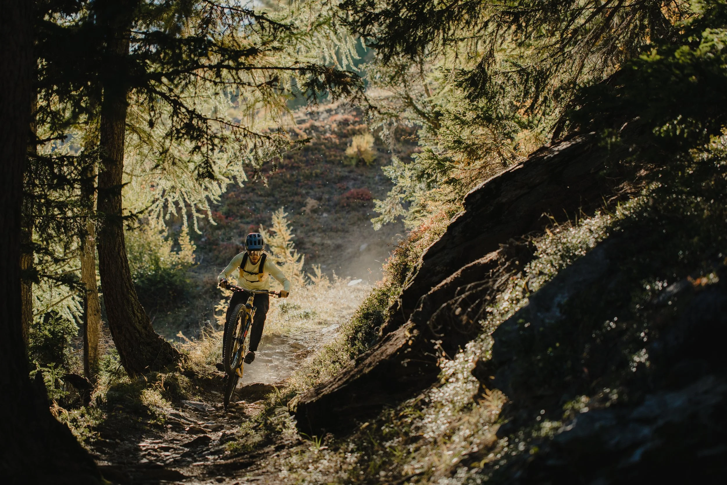 loetschental_bietschorn_trail-19 2.jpeg