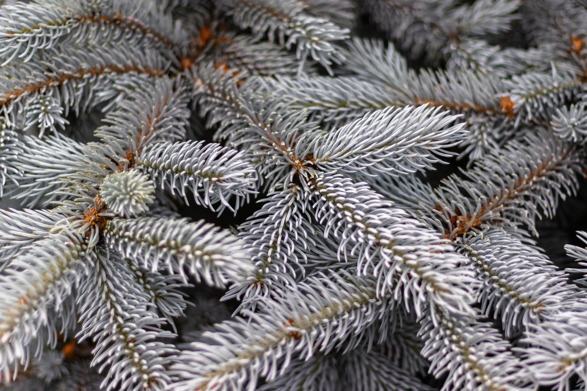 greg-rosenke-ZN_D7wHo0Zg-unsplash.jpg
