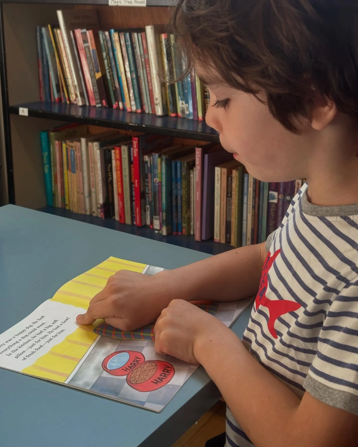 Some kindergarten readers! #readingisimportant #matheiaschool #kindergarten #k