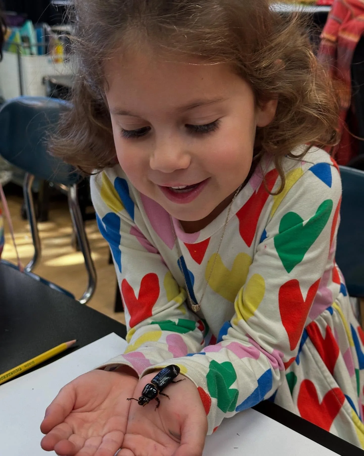 Matheia students got a close up look at some Bess beetles in science class. We&rsquo;re studying insects in October. #matheiaschool #bessbeetle #insects #scienceeveryday