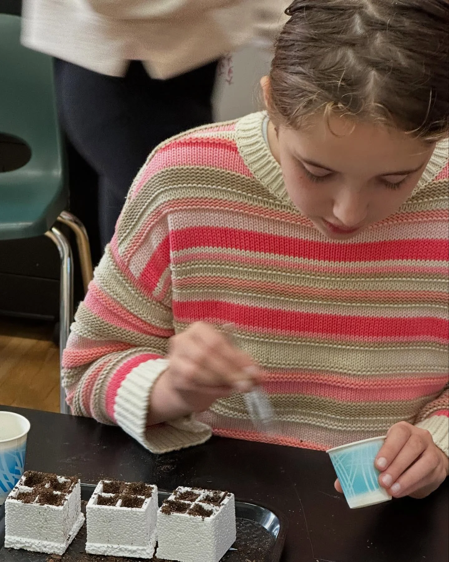 Fifth grade Matheia Students planting Fast Plants and recording the growth after six days. These plants will go from seed to seed in 35 days. Our students will record the process, stake the plants, pollinate the flowers, and harvest the seeds. This i