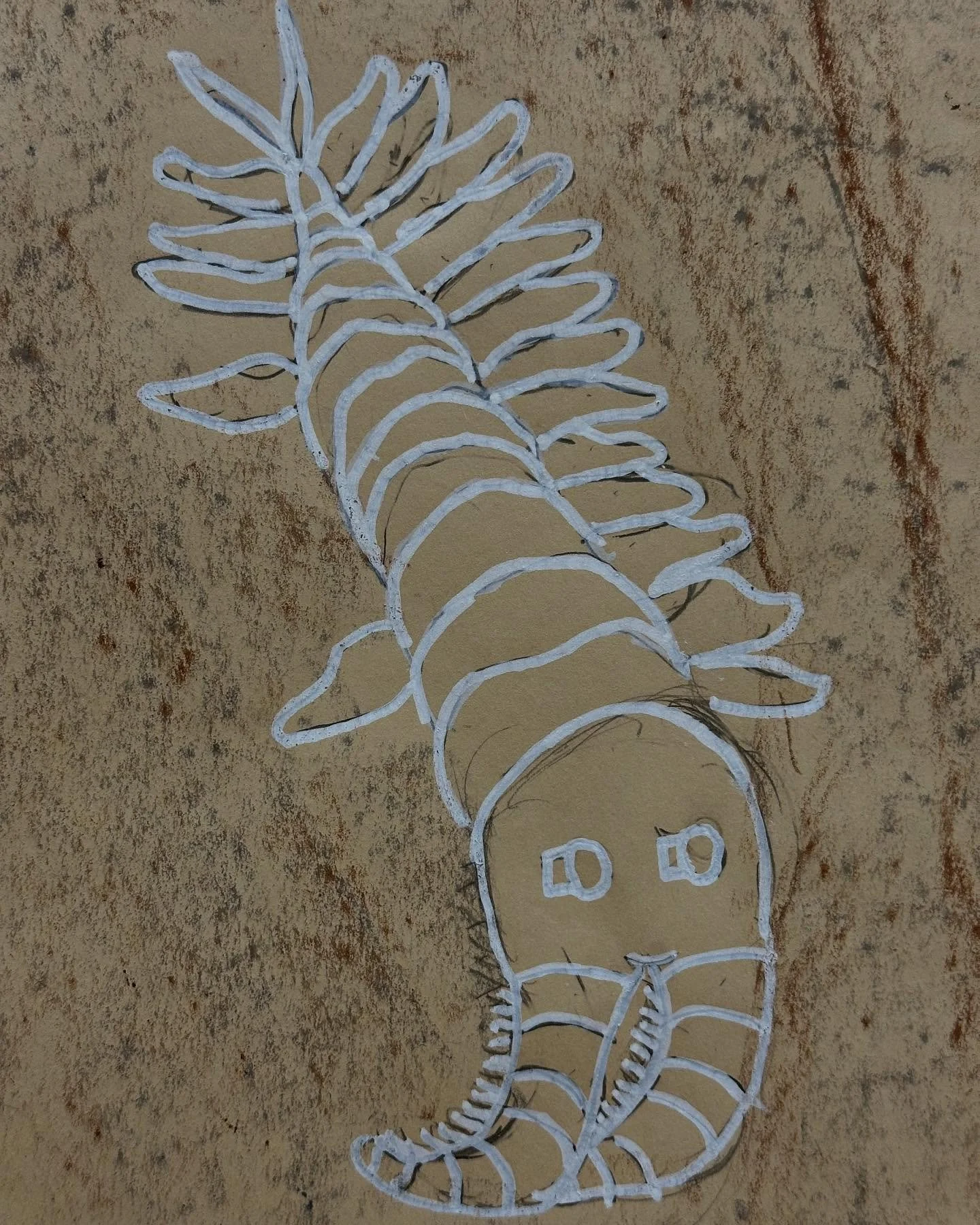 Fossil drawings by Matheia students. #matheiaschool #fossils #science #art #scienceeveryday #arteveryday #k-5 #seattle #ballard #smallprivateschool